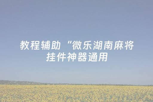 教程辅助“微乐湖南麻将挂件神器通用（助赢神器通用版）