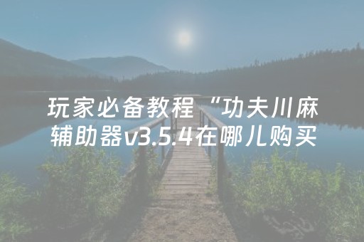 玩家必备教程“功夫川麻辅助器v3.5.4在哪儿购买（助赢神器通用版）