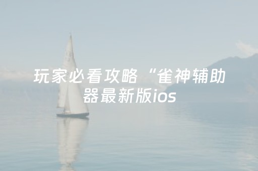 玩家必看攻略“雀神辅助器最新版ios（专用辅牌神器免安装）