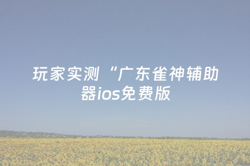 玩家实测“广东雀神辅助器ios免费版（专用辅牌神器免安装）