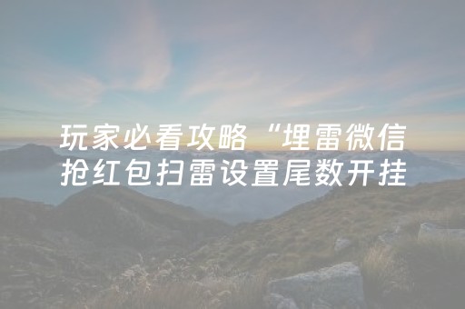 玩家必看攻略“埋雷微信抢红包扫雷设置尾数开挂软件”（详细透视教程）-哔哩哔哩