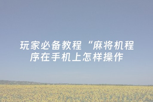 玩家必备教程“麻将机程序在手机上怎样操作（专用辅牌神器免安装）