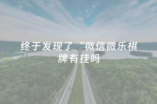 终于发现了“微信微乐棋牌有挂吗（助赢神器通用版）