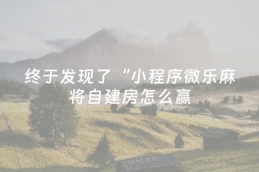 终于发现了“小程序微乐麻将自建房怎么赢（助赢神器通用版）