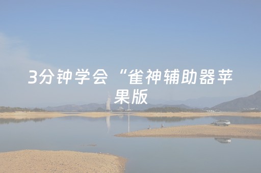 3分钟学会“雀神辅助器苹果版（助赢神器通用版）