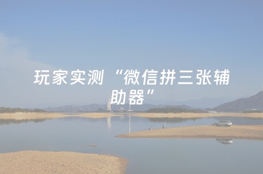 实测辅助“微友时代扫雷挂”（详细透视教程）-哔哩哔哩