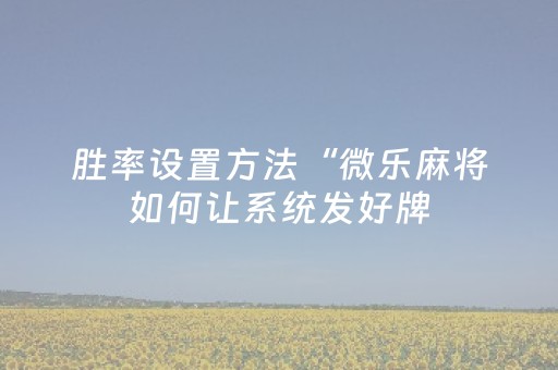 3分钟学会“微乐四川麻将小程序辅牌器”（详细透视教程）-哔哩哔哩