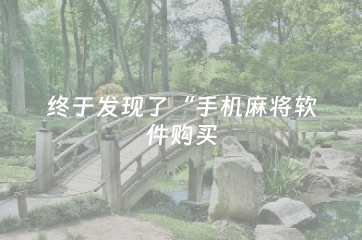 终于发现了“手机麻将软件购买（专用辅牌神器免安装）