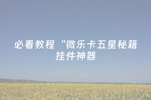 玩家必备教程“微乐海南麻将助赢神器”（详细透视教程）-哔哩哔哩