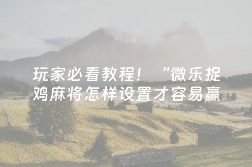 玩家必看教程！“微乐捉鸡麻将怎样设置才容易赢”（详细开挂教程）-哔哩哔哩