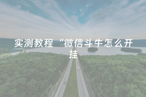 实测教程“微信斗牛怎么开挂（助赢神器通用版）