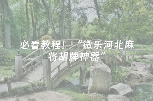 必看教程！“微乐河北麻将胡牌神器”（详细开挂教程）-哔哩哔哩