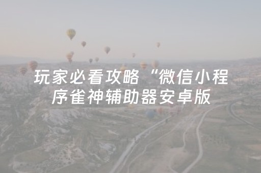 玩家必看攻略“微信小程序雀神辅助器安卓版（助赢神器通用版）