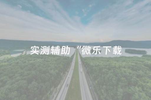 实测辅助“微乐下载（专用辅牌神器免安装）