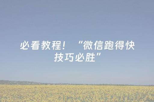 必看教程！“微信跑得快技巧必胜”（详细辅助教程）-哔哩哔哩