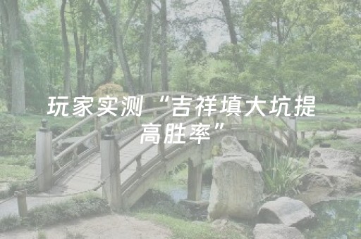 实测辅助“手机麻将100%能赢的神器”（详细透视教程）-哔哩哔哩