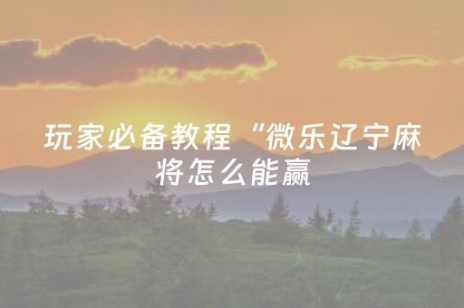 终于发现“红埋雷扫雷挂软件”（详细透视教程）-哔哩哔哩