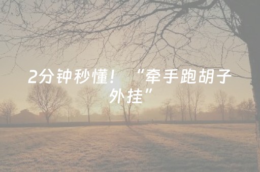 2分钟秒懂！“牵手跑胡子外挂”（详细辅助教程）-哔哩哔哩