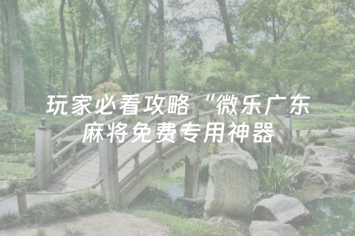 玩家必看攻略“微乐广东麻将免费专用神器（助赢神器通用版）