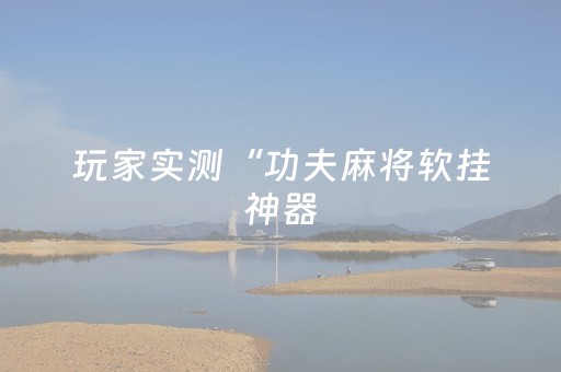 玩家实测“功夫麻将软挂神器（助赢神器通用版）
