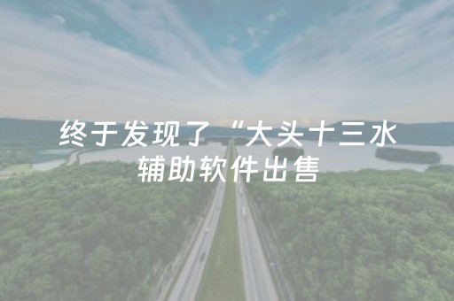 终于发现了“大头十三水辅助软件出售（专用辅牌神器免安装）
