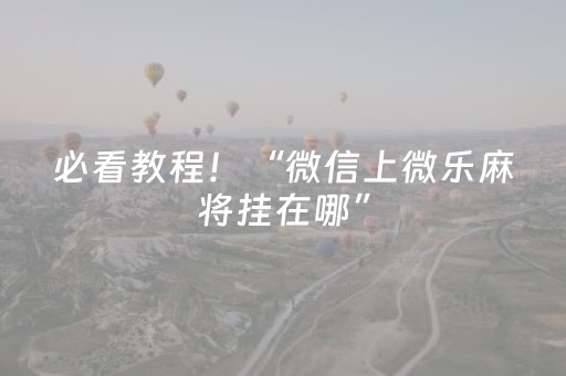 必看教程！“微信上微乐麻将挂在哪”（详细辅助教程）-哔哩哔哩