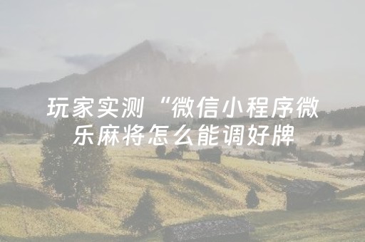 玩家实测“微信小程序微乐麻将怎么能调好牌（专用辅牌神器免安装）