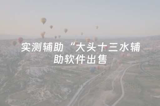 实测辅助“大头十三水辅助软件出售（助赢神器通用版）