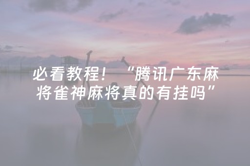 必看教程！“腾讯广东麻将雀神麻将真的有挂吗”（详细辅助教程）-哔哩哔哩