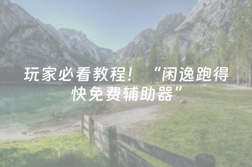 玩家必看教程！“闲逸跑得快免费辅助器”（详细透视教程）-哔哩哔哩