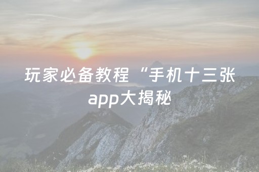 玩家必备教程“手机十三张app大揭秘（专用辅牌神器免安装）