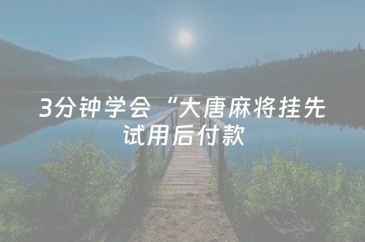 3分钟学会“大唐麻将挂先试用后付款（专用辅牌神器免安装）