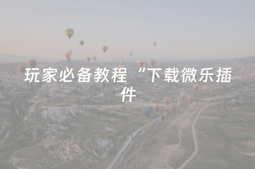 玩家必备教程“下载微乐插件（助赢神器通用版）