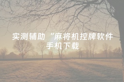 实测辅助“麻将机控牌软件手机下载（助赢神器通用版）