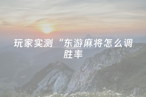 玩家实测“东游麻将怎么调胜率（助赢神器通用版）