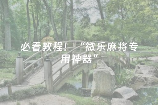 必看教程！“微乐麻将专用神器”（详细开挂教程）-哔哩哔哩