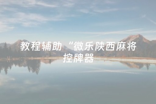 教程辅助“微乐陕西麻将控牌器（专用辅牌神器免安装）