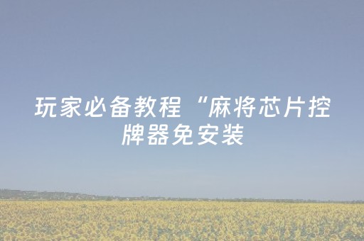 玩家必备教程“麻将芯片控牌器免安装（助赢神器通用版）