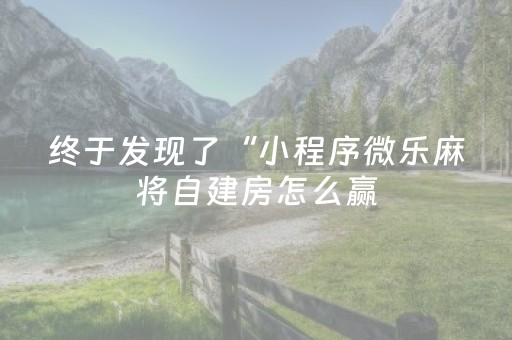 终于发现了“小程序微乐麻将自建房怎么赢（专用辅牌神器免安装）