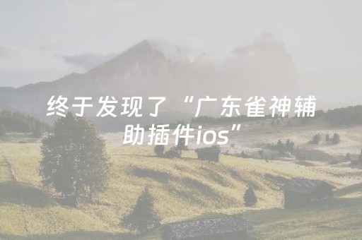 终于发现了“广东雀神辅助插件ios”（详细透视教程）-哔哩哔哩