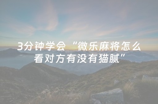 3分钟学会“微乐麻将怎么看对方有没有猫腻”（详细透视教程）-哔哩哔哩