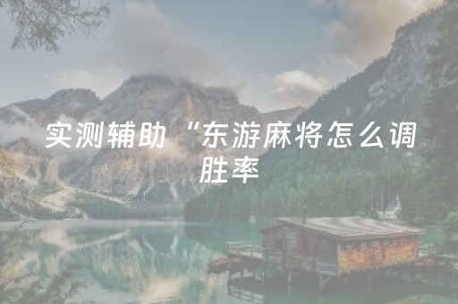 实测辅助“东游麻将怎么调胜率（专用辅牌神器免安装）