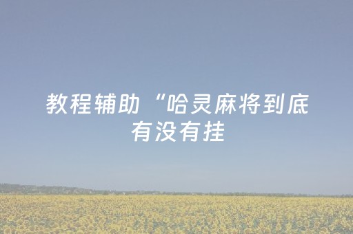 教程辅助“哈灵麻将到底有没有挂（助赢神器通用版）