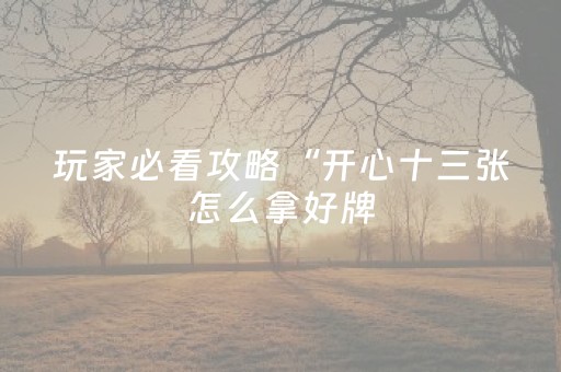 玩家必看攻略“开心十三张怎么拿好牌（助赢神器通用版）