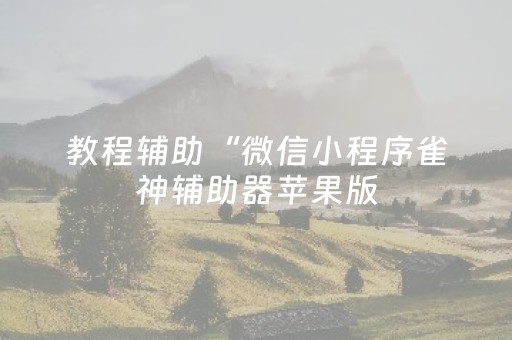 教程辅助“微信小程序雀神辅助器苹果版（助赢神器通用版）