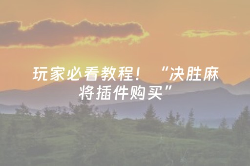 玩家必看教程！“决胜麻将插件购买”（详细透视教程）-哔哩哔哩