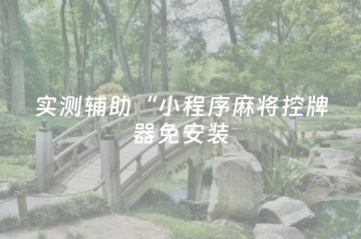 实测辅助“小程序麻将控牌器免安装（专用辅牌神器免安装）