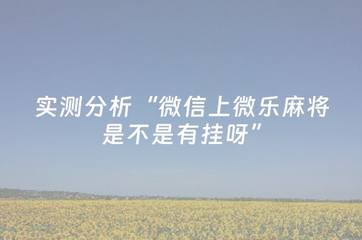 实测分析“微信上微乐麻将是不是有挂呀”（详细透视教程）-哔哩哔哩