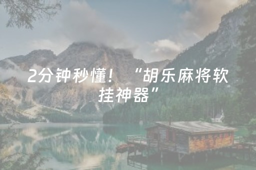 2分钟秒懂！“胡乐麻将软挂神器”（详细辅助教程）-哔哩哔哩