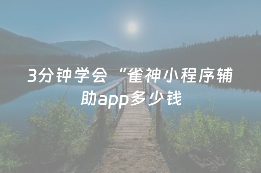 3分钟学会“雀神小程序辅助app多少钱（专用辅牌神器免安装）